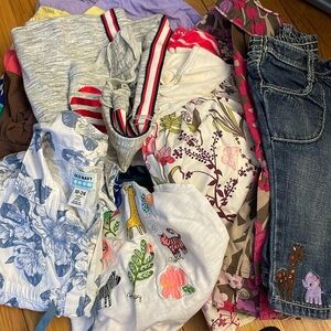 Large 18-24 month Toddler girl clothing lot